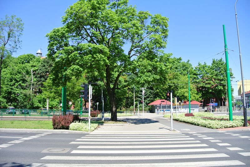 Szpital - Przybyszewskiego 031